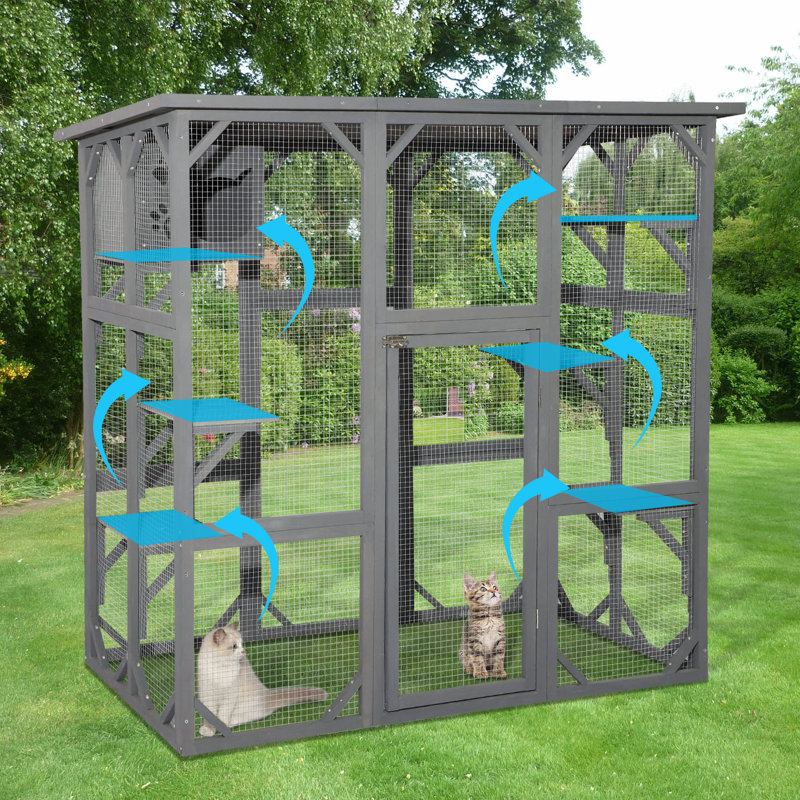 JOVNO Catio Outdoor Cat Playpen & Reviews Wayfair